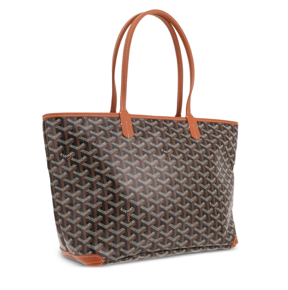Goyard Artois PM Tote Bag in Black & Tan